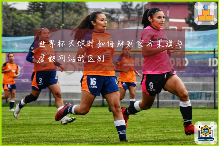 世界杯买球时如何辨别官方渠道与虚假网站的区别