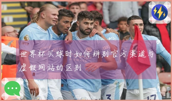 世界杯买球时如何辨别官方渠道与虚假网站的区别