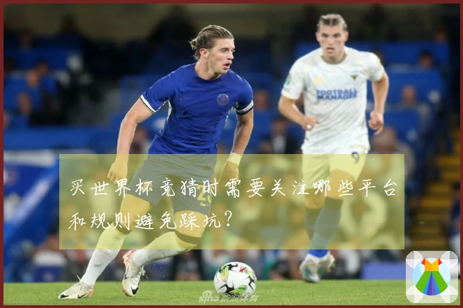 买世界杯竞猜时需要关注哪些平台和规则避免踩坑？